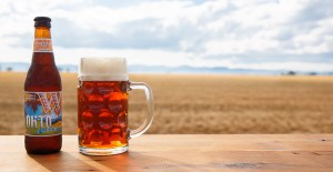 widmer brothers okto festival ale