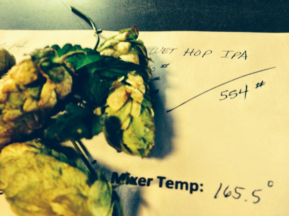 Wet Hop Recipe Sheet Honolulu Beerworks