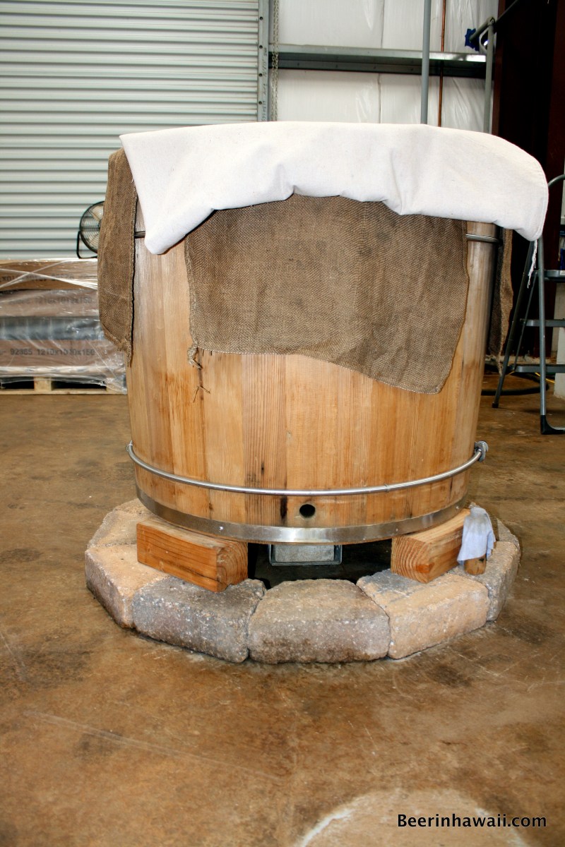 Rice steamer Hawaiian Shochu Company