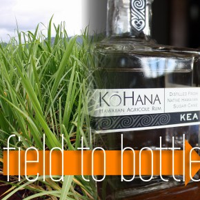 From Field to Bottle – Ko Hana Hawaiian Agricole&nbsp;Rum