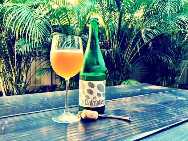 Fantôme La Dalmatienne Hawaii