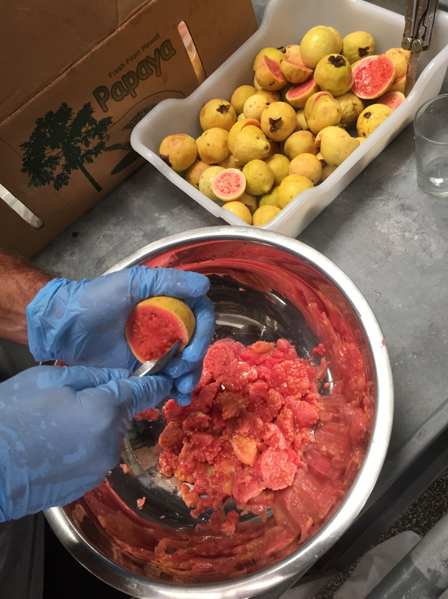 Lanikai Brewing Guava Fruit for Berliner Weisse