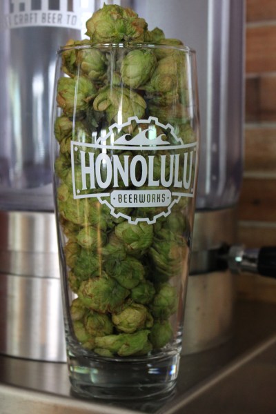 Honolulu Beerworks Fresh Hops