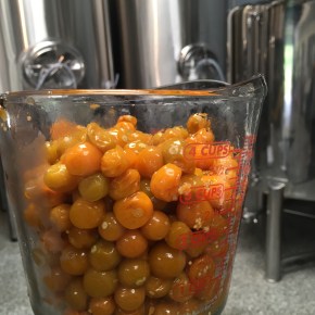 Lanikai Brewing Releases Brewers Series Number 4:&nbsp;Poha-Loa