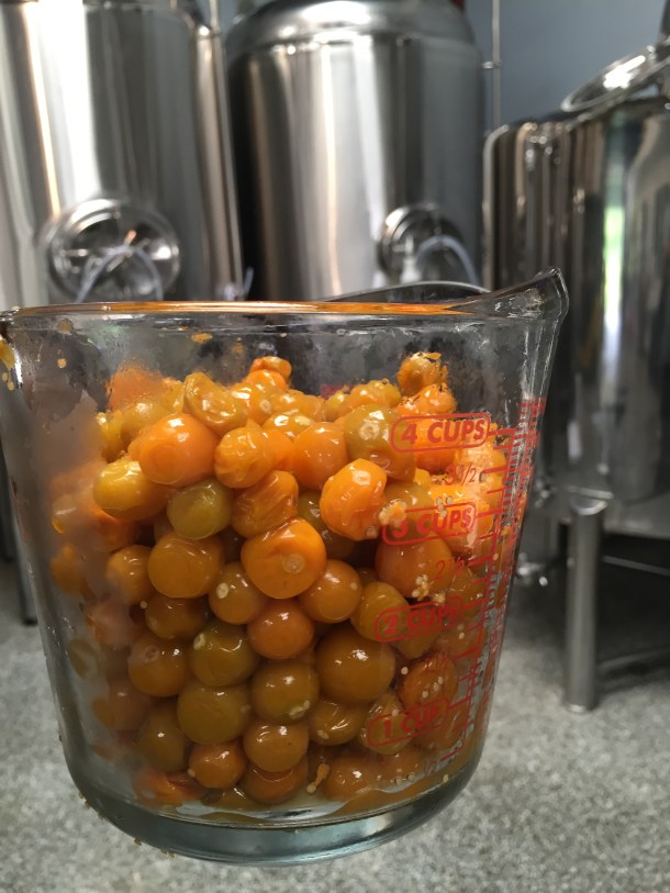 Lanikai Brewing Poha Berry Blond