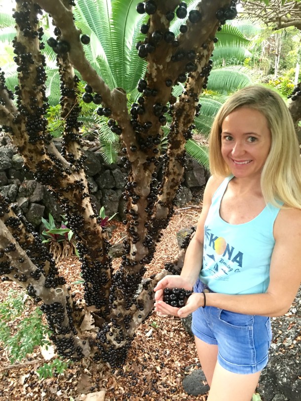 Sandi Shriver Kona Brewing Jaboticaba