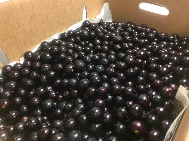 Kona Brewing jaboticaba