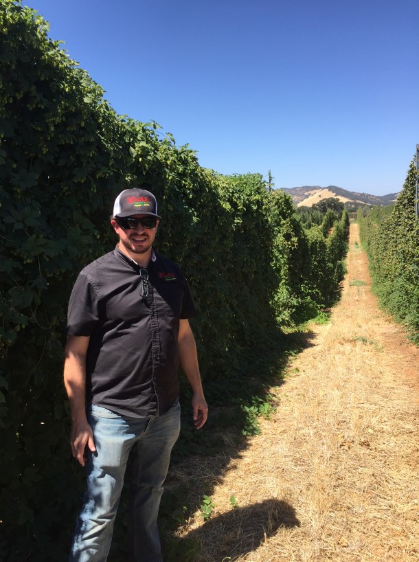 Joe Lorenzen Waikiki Brewing Overnight IPA Hop Farm